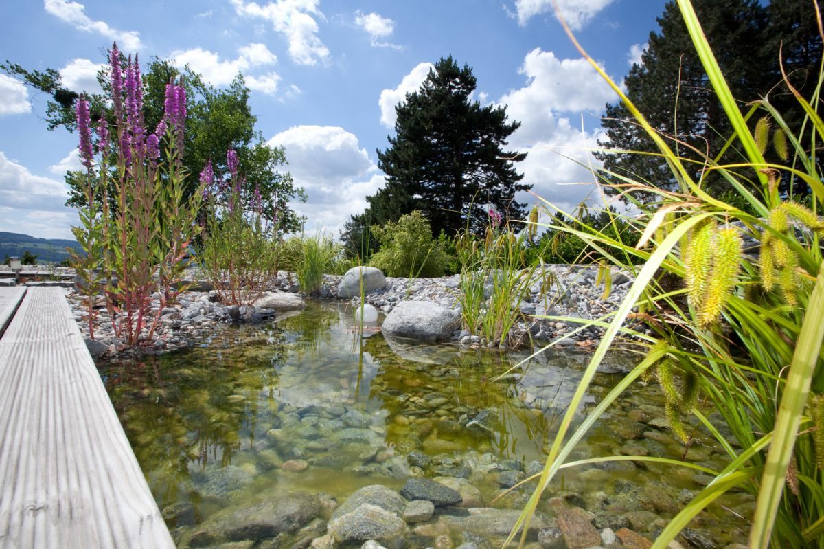 HS Gartenbau GmbH Gartenbepflanzung
