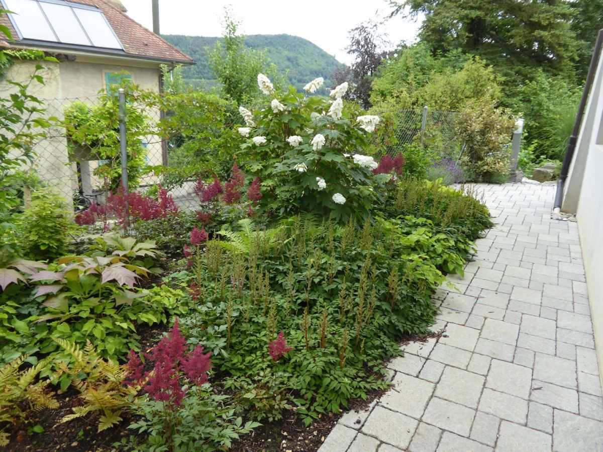 HS Gartenbau GmbH Gartenbepflanzung