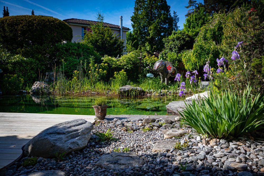 HS Gartenbau GmbH - Rund ums Wasser
