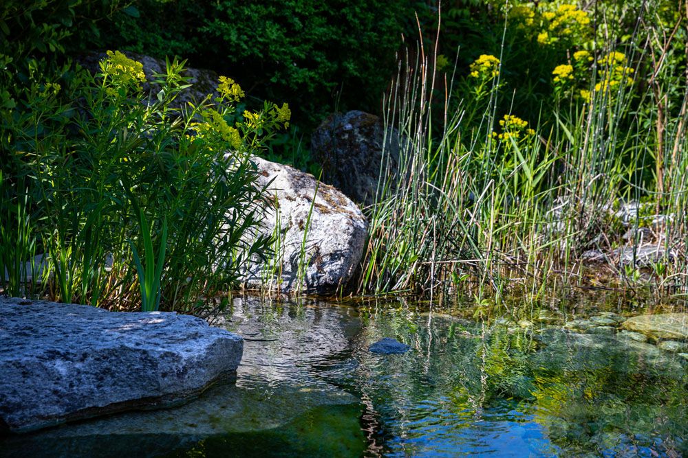 HS Gartenbau GmbH - Rund ums Wasser