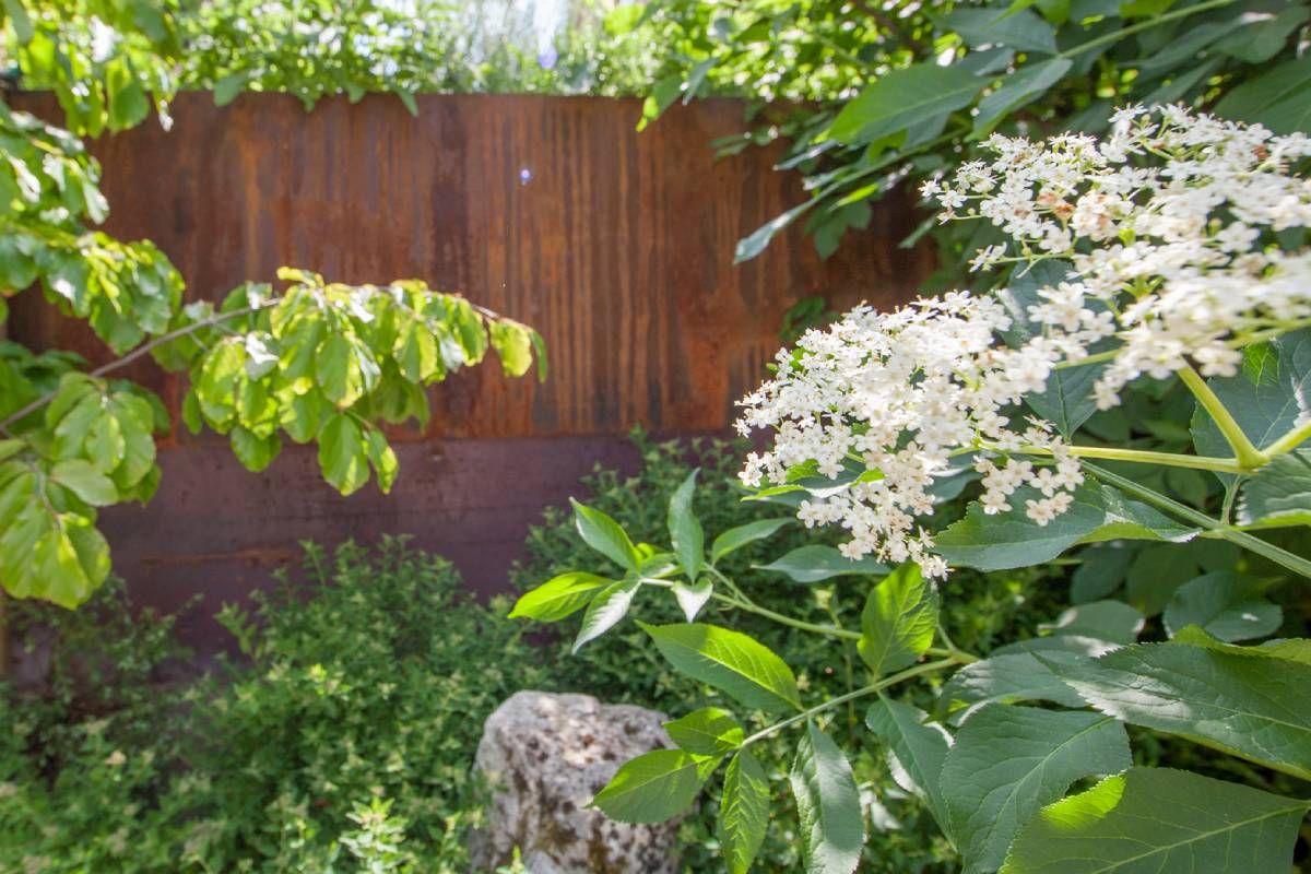 HS Gartenbau GmbH Sichtschutz im Garten