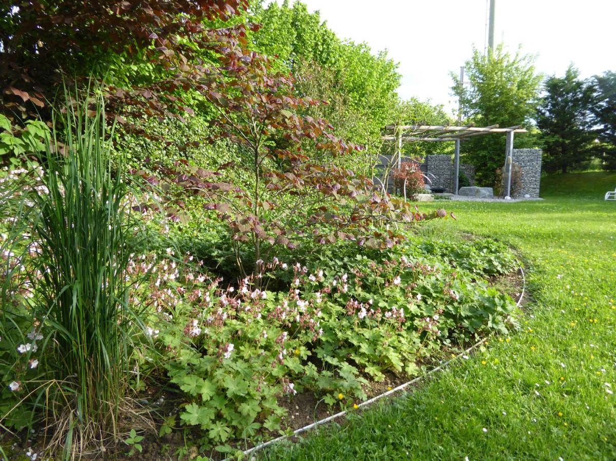 HS Gartenbau GmbH Gartenbepflanzung