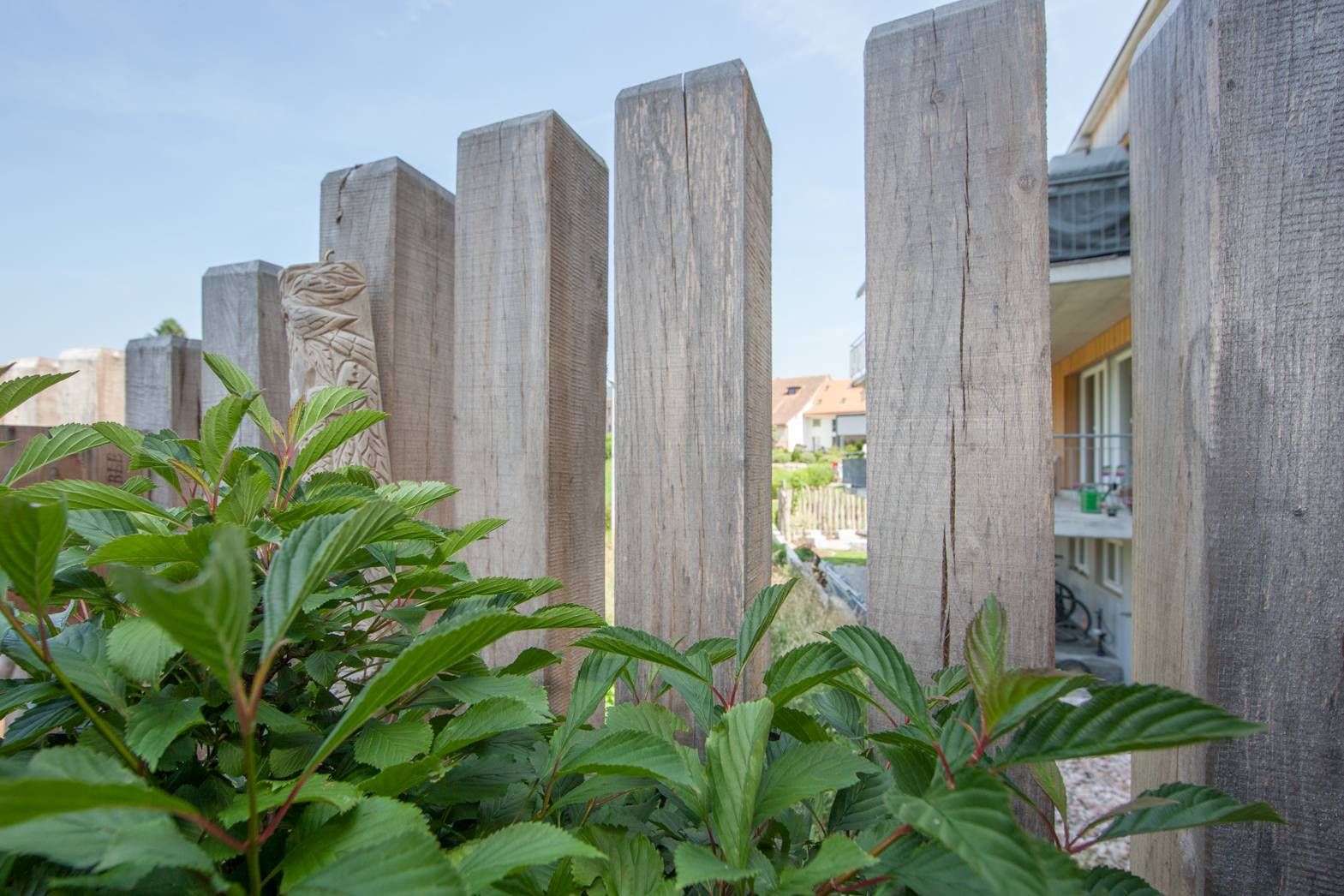 HS Gartenbau GmbH Sichtschutz im Garten