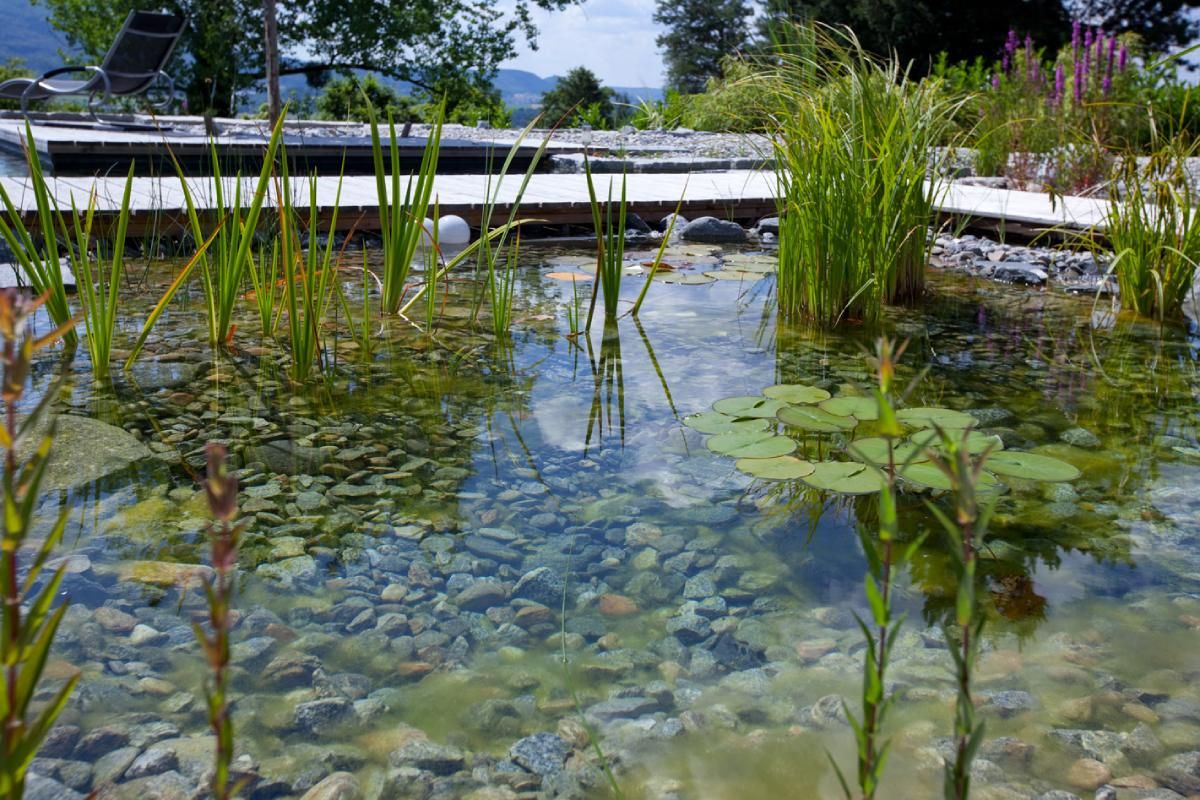 HS Gartenbau GmbH Gartenteich