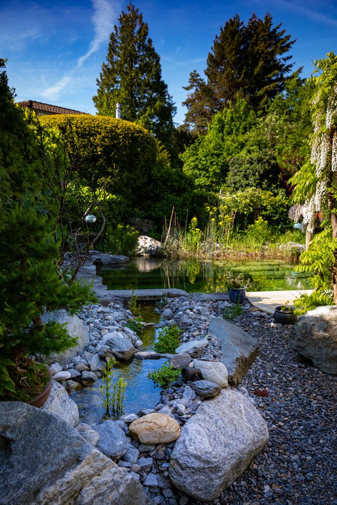 HS Gartenbau GmbH - Rund ums Wasser