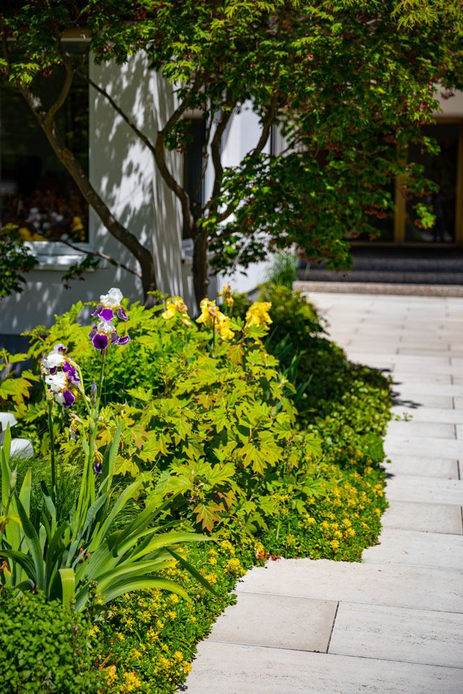 HS Gartenbau GmbH Gartenbepflanzung