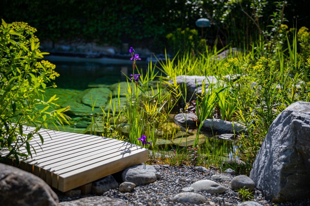 HS Gartenbau GmbH - Rund ums Wasser