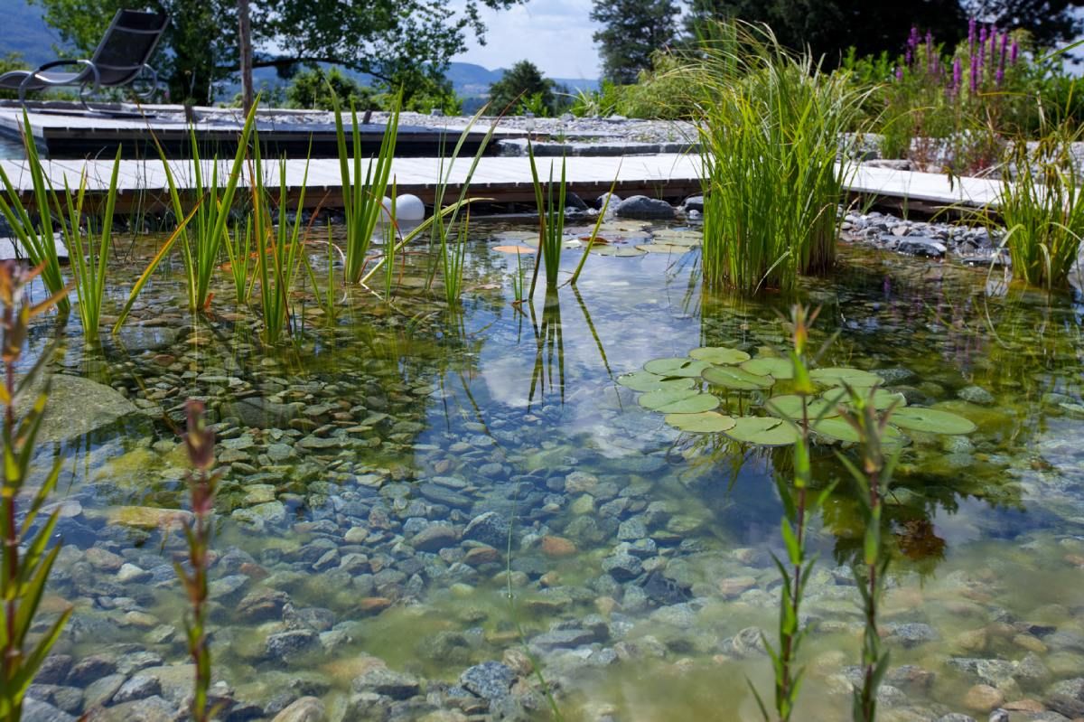 HS Gartenbau GmbH Gartenbepflanzung