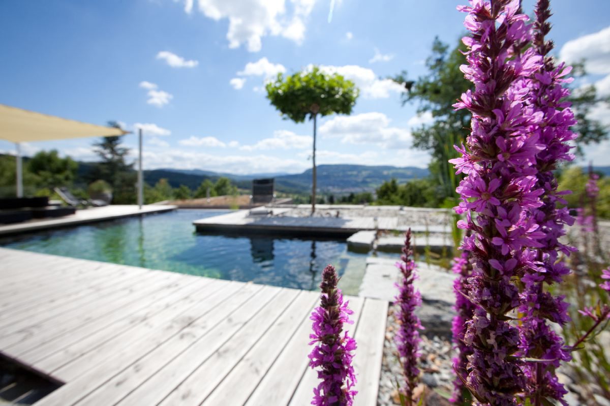 HS Gartenbau GmbH Gartenbepflanzung