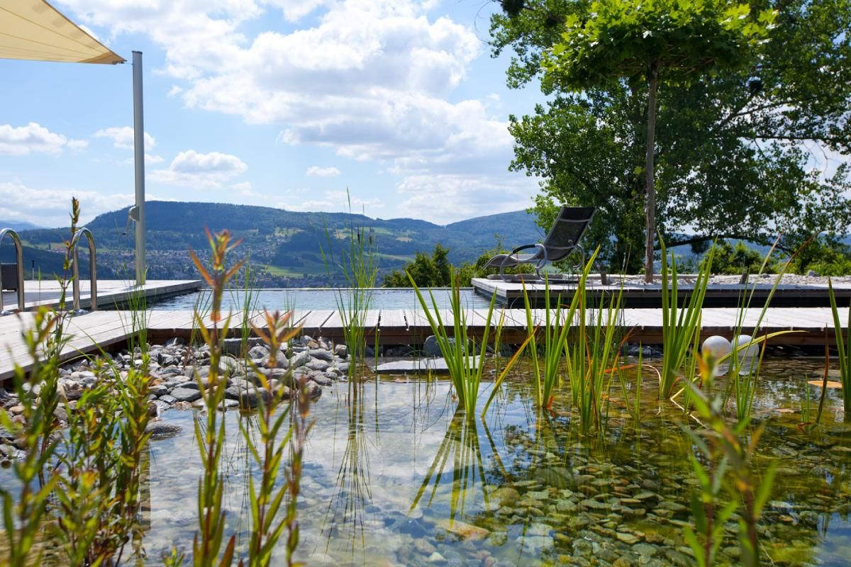 HS Gartenbau GmbH Gartenteich