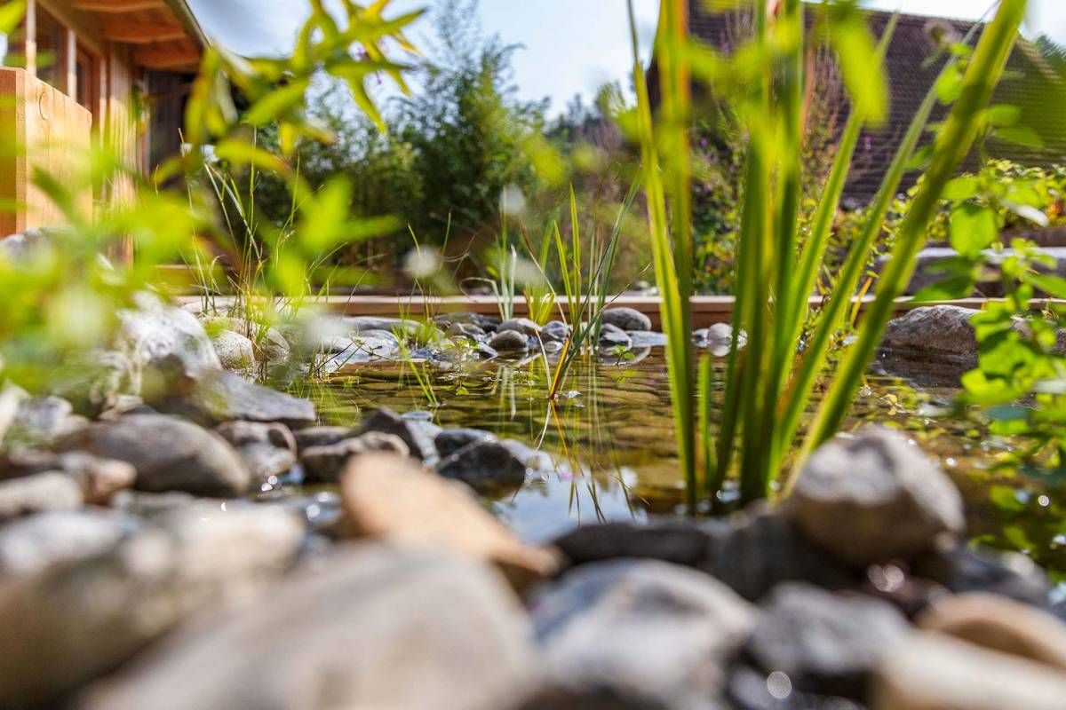 HS Gartenbau GmbH Gartenteich