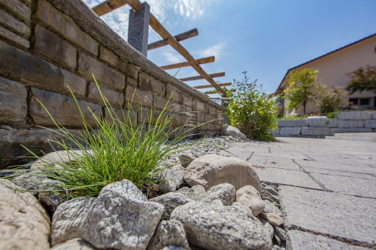 HS Gartenbau GmbH Gartenbepflanzung