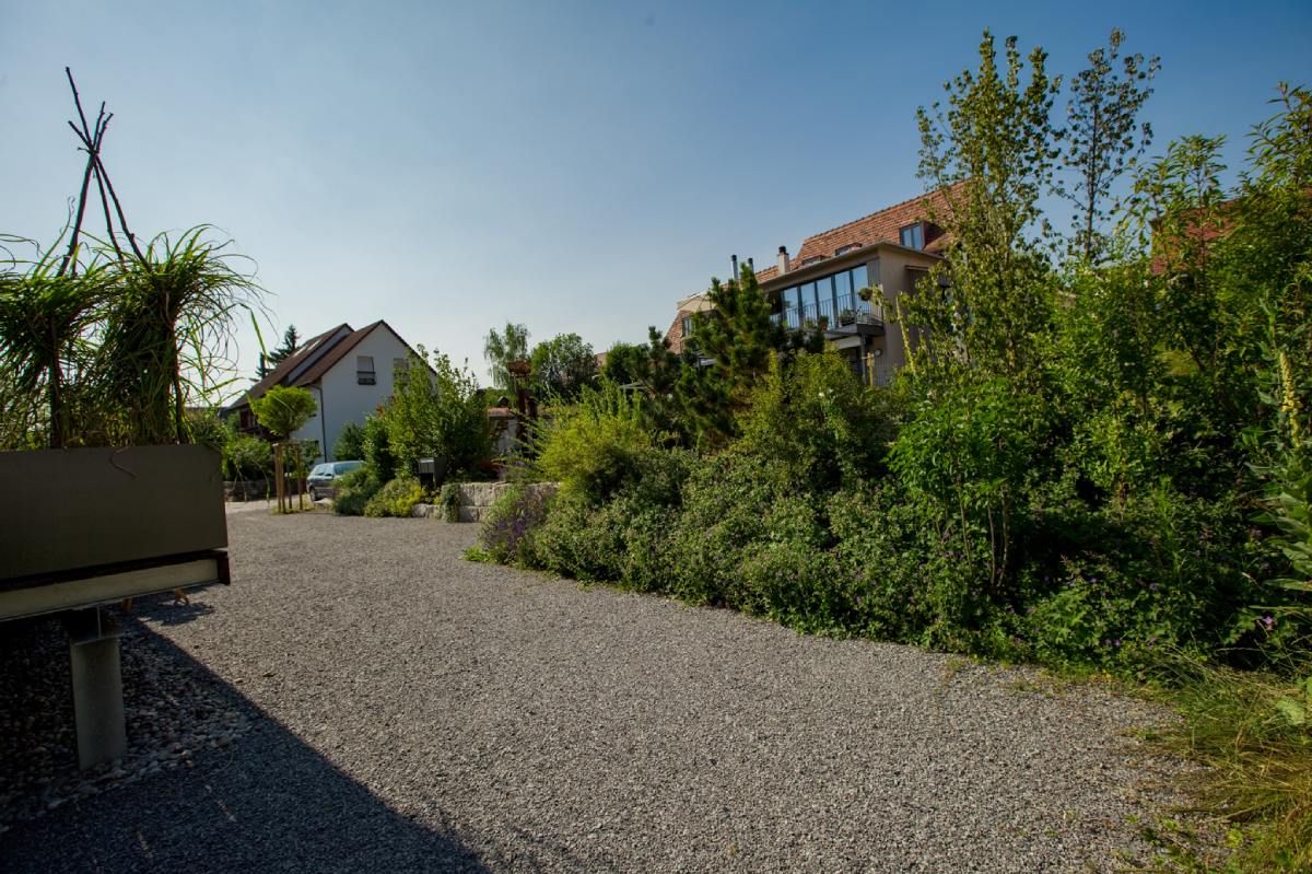 HS Gartenbau GmbH Gartenbepflanzung