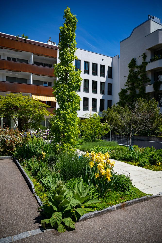 HS Gartenbau GmbH - Begrünung