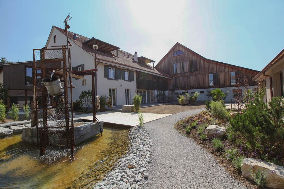 HS Gartenbau GmbH Weg zwischen Häusern und Wiese