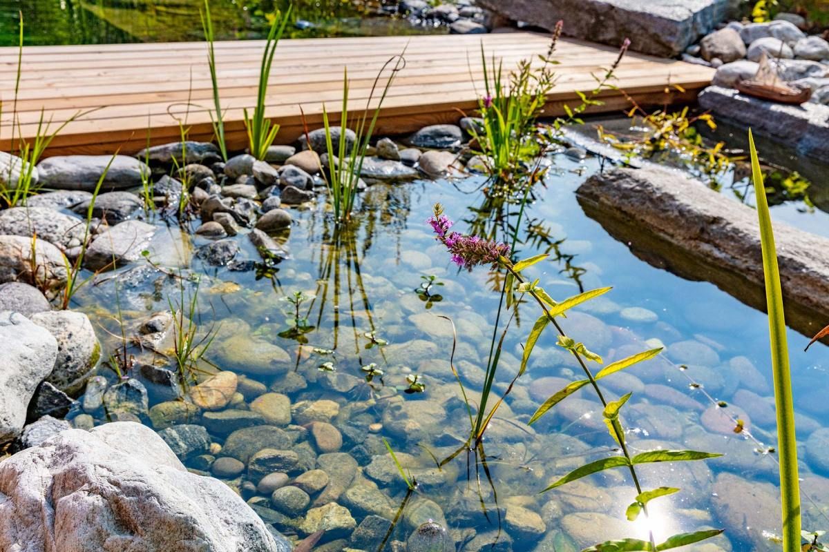 HS Gartenbau GmbH Gartenteich