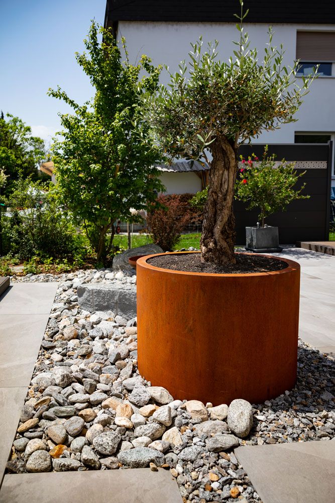 HS Gartenbau GmbH - Begrünung