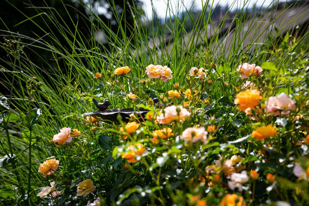 HS Gartenbau GmbH - Begrünung