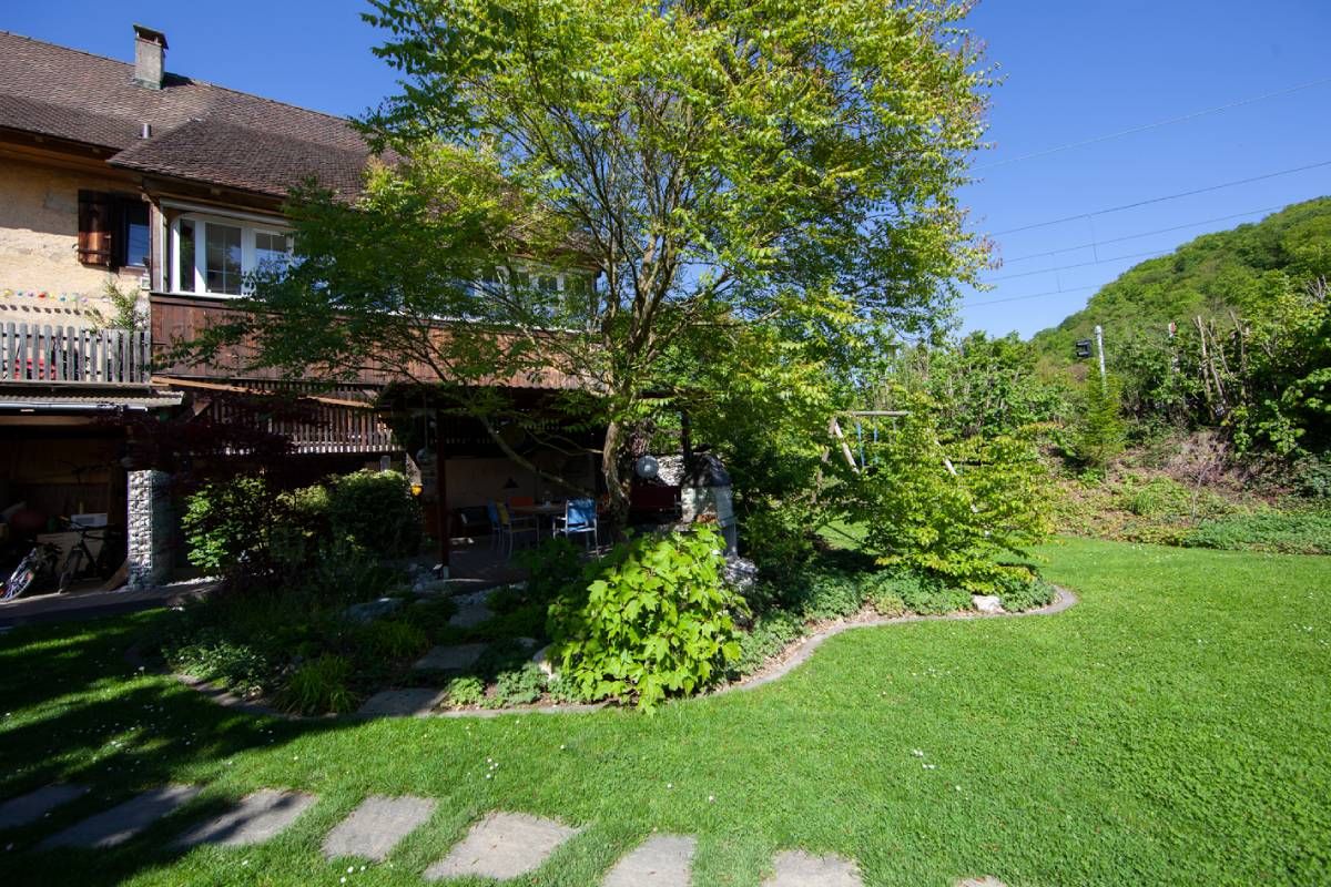 HS Gartenbau GmbH Gartenbepflanzung