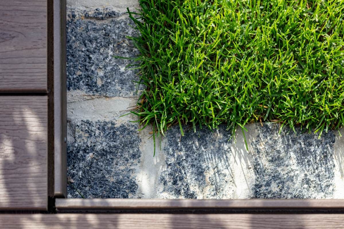 HS Gartenbau GmbH Kiesbeet und Pflanze